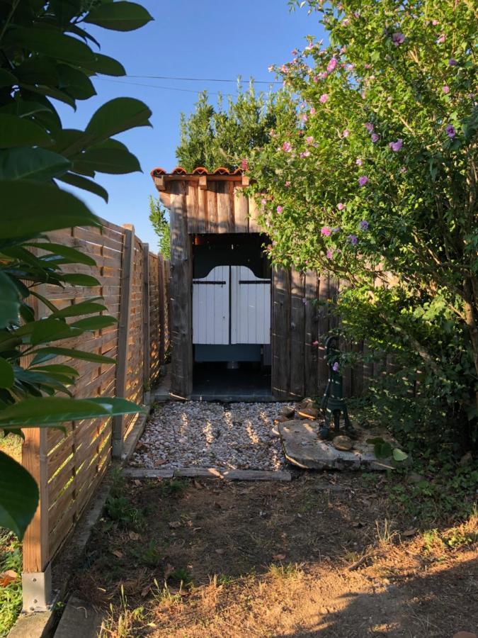 Les Du Vigne