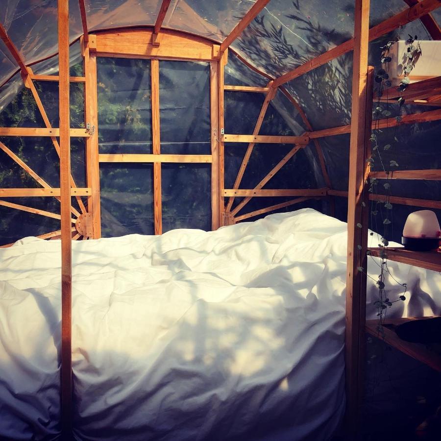 Luxe tent Les Du Vigne Molandier